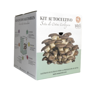 Kit Autocultivo Setas Ecológica Ostra
