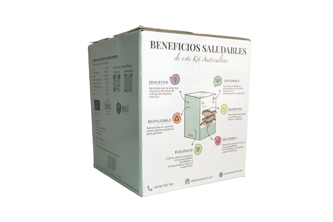 Kit Autocultivo Setas Ecológica Ostra - Imagen 2