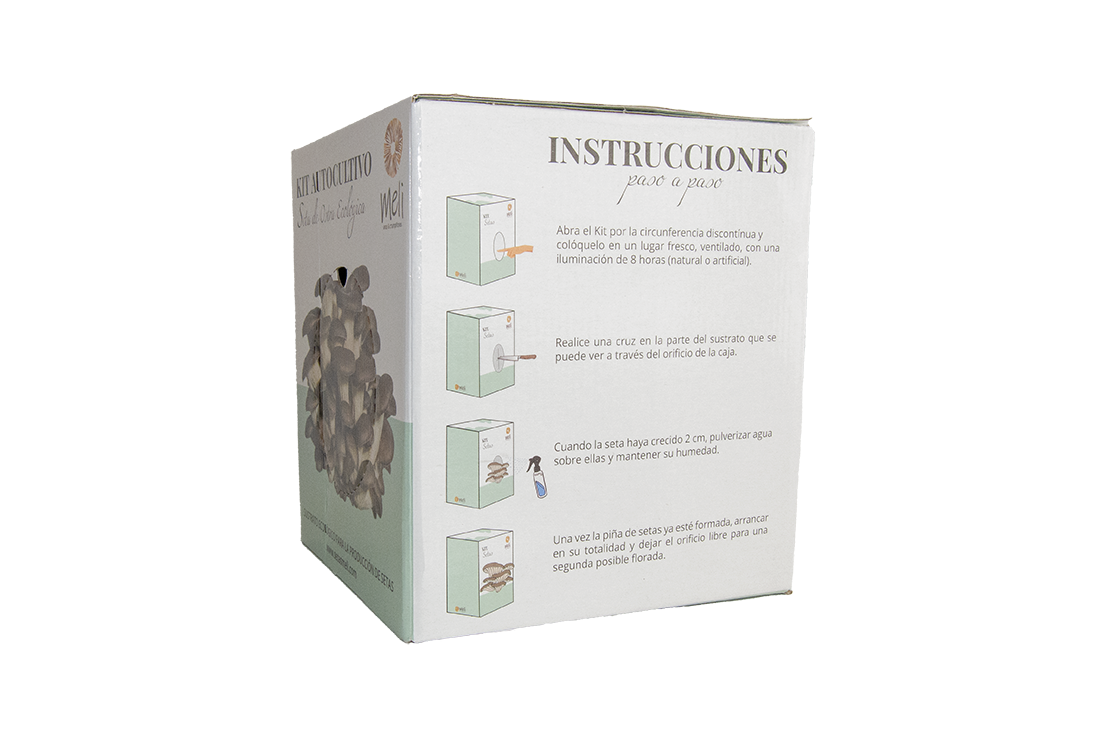 Kit Autocultivo Setas Ecológica Ostra - Imagen 3