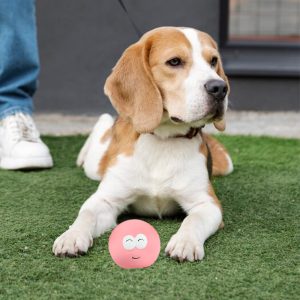 PELOTA DE GOMA CON OJOS PARA MASCOTAS LH-3354