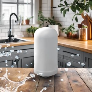 FILTRO PARA PURIFICADOR DE AGUA CERAMIC LH-3785