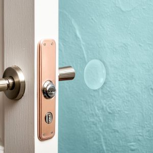 PROTECTOR 2PZ AUTOADHESIVO TRANSPARENTE LH-3557