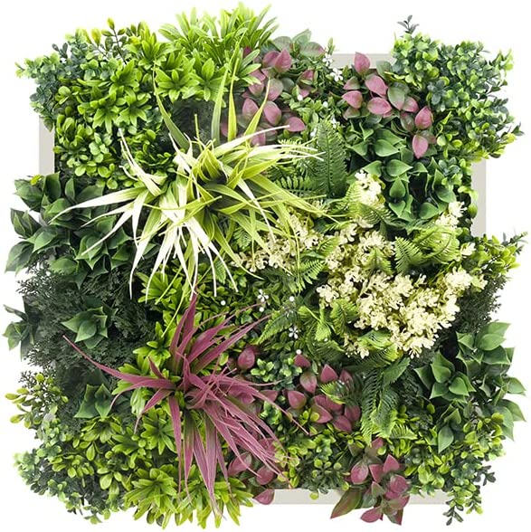 Jardin Vertical Marco Maldivas. 50 cm x 50 cm. Bonerva