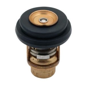 QUICKSILVER, TERMOSTATO