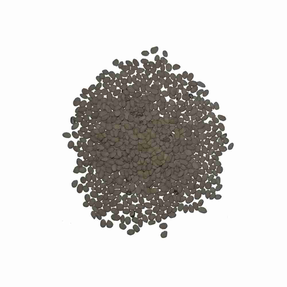 Semillas de césped WHITTET kikuyu (Grama Gruesa) – 0,5 kg - Imagen 3