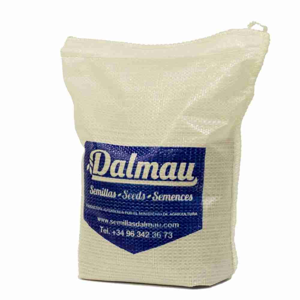 Semillas de césped WHITTET kikuyu (Grama Gruesa) – 0,5 kg - Imagen 4