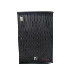 Caja Amplificada Profesional 15″ – Beta 3 N15A USB