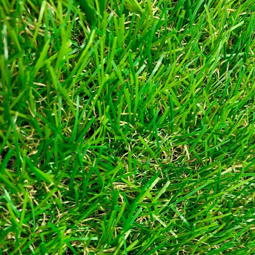 Césped Artificial Terraza Plus (30 mm) – 2×20 metros (40 m2) – Bonerva - Imagen 3