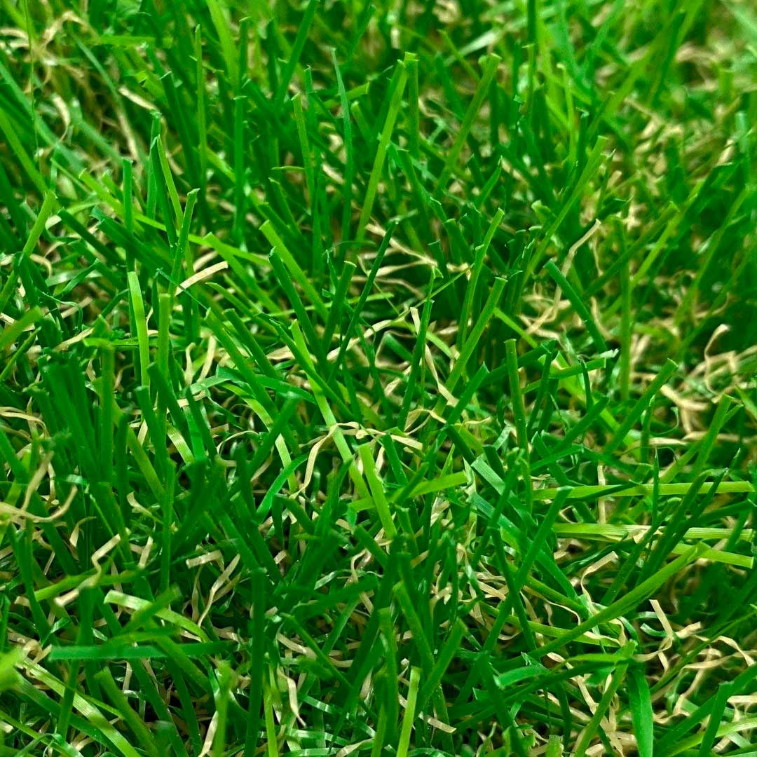 Césped Artificial Terraza Plus (40 mm) - Imagen 4