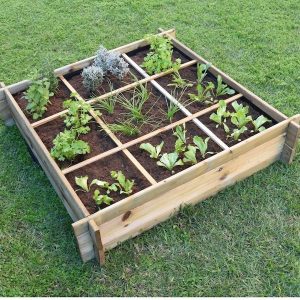 Huerto Urbano Suelo – 9 Departamentos