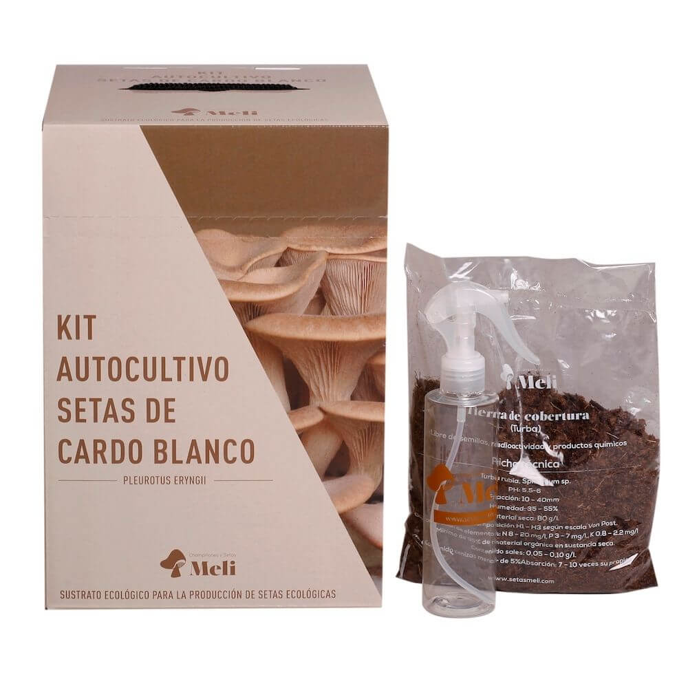 Kit Autocultivo de Setas de Cardo Blanco - Imagen 5