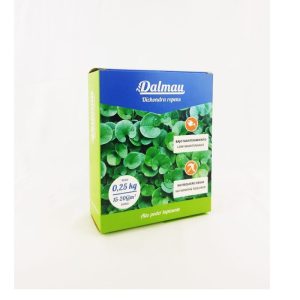 Semillas de Césped Dichondra – 1 kg