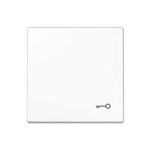 TECLA SIMPLE SIMBOLO PUERTA BLANCO ALPINO