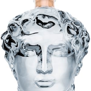DAVID PREMIUM LUXURY GIN 70CL 40% (inspirada en el DAVID DE MIGUEL ÁNGEL) + ESTUCH