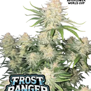 Frostbanger Auto de FastBuds