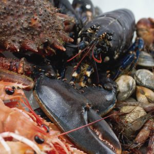 mariscada gallega para 2 personas premium